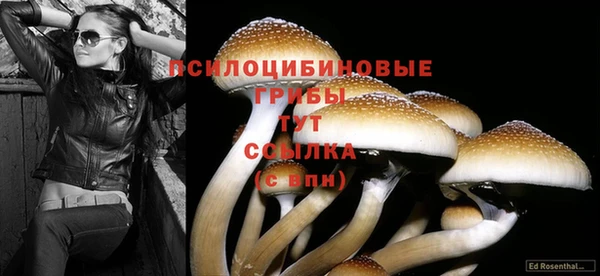 apvp Балабаново