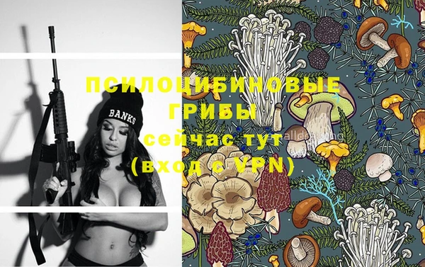 прущая мука Балахна