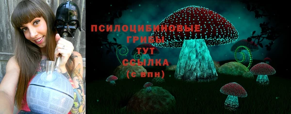 a pvp Баксан