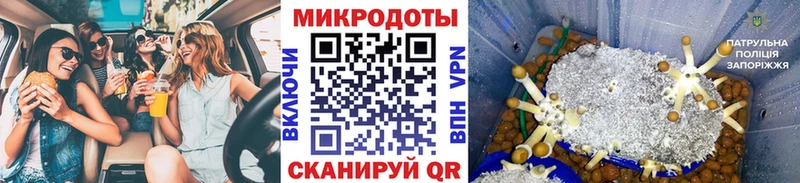 Псилоцибиновые грибы ЛСД  Пересвет 