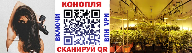 наркотики Пересвет Бошки марихуана White Widow